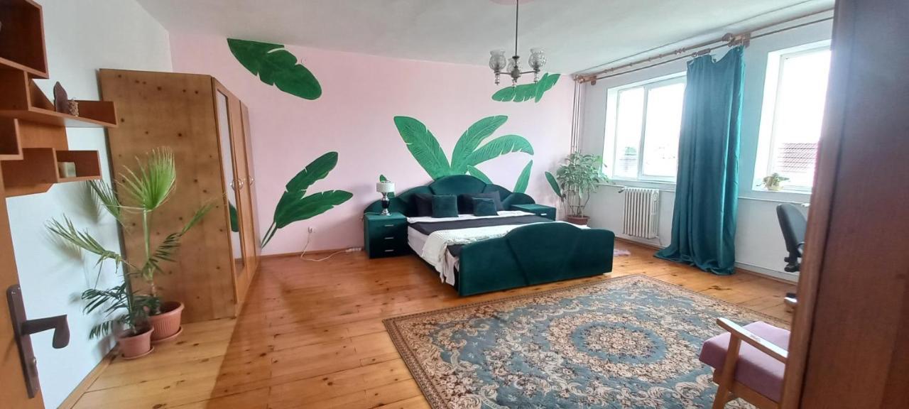 شقة ألبا يوليا  في Casa Zora المظهر الخارجي الصورة